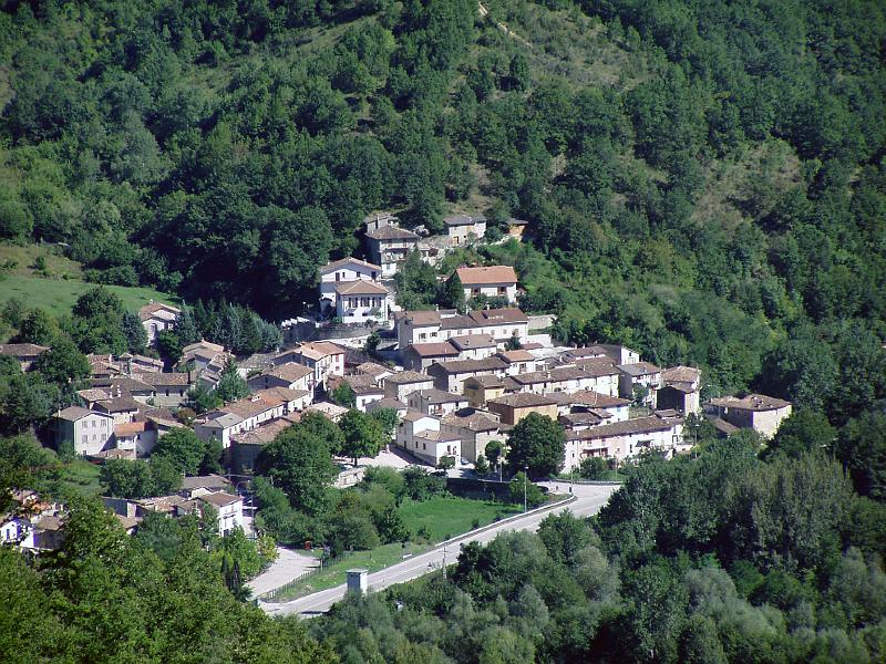 grisciano